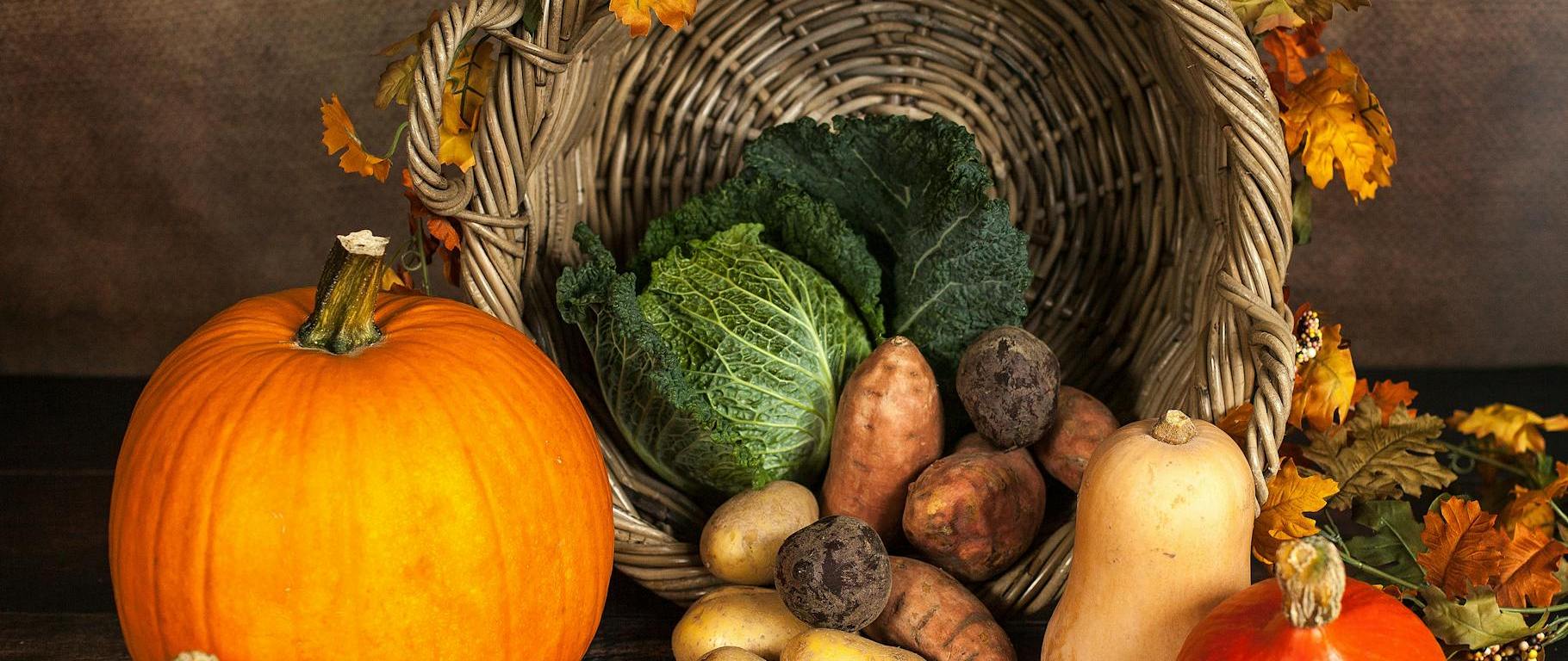 vegetable and crops beside spilled basket